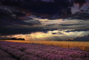 油畫般風景攝影 當鏡頭遇見畫布的詩意